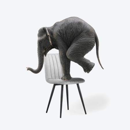 Стул на металлокаркасе Дани серый велюр velutto 52, черный