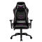 Кресло компьютерное игровое TESORO Alphaeon S3 TS-F720 Pink