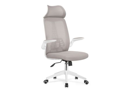 Компьютерное кресло Lokus светло-серый
