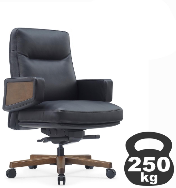 Кресло Rafael-M B2119 черный Кресло Rafael-M B2119 черный