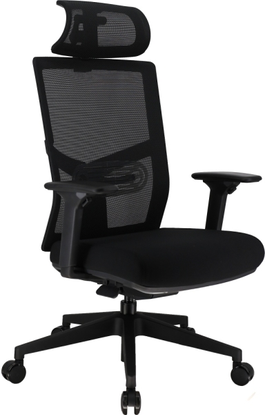 Эргономичное кресло Fuji сетка черный