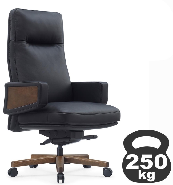 Кресло Rafael A2119 черный Кресло Rafael A2119 черный