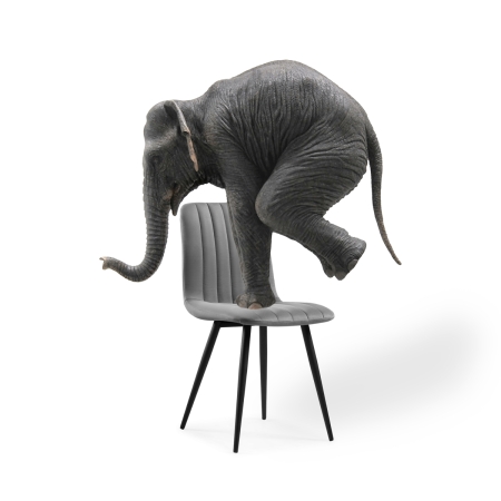 Стул на металлокаркасе Дани темно-серый, черный