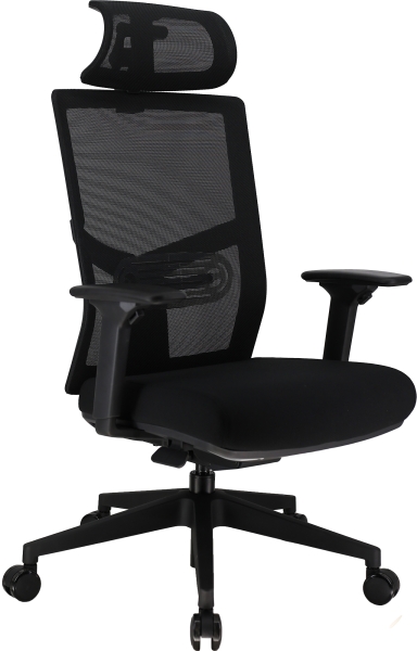 Эргономичное кресло Fuji сетка черный